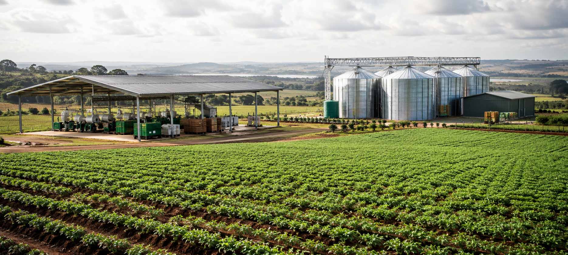 Operational Oversight and Efficiency — Cedar Green Project Management